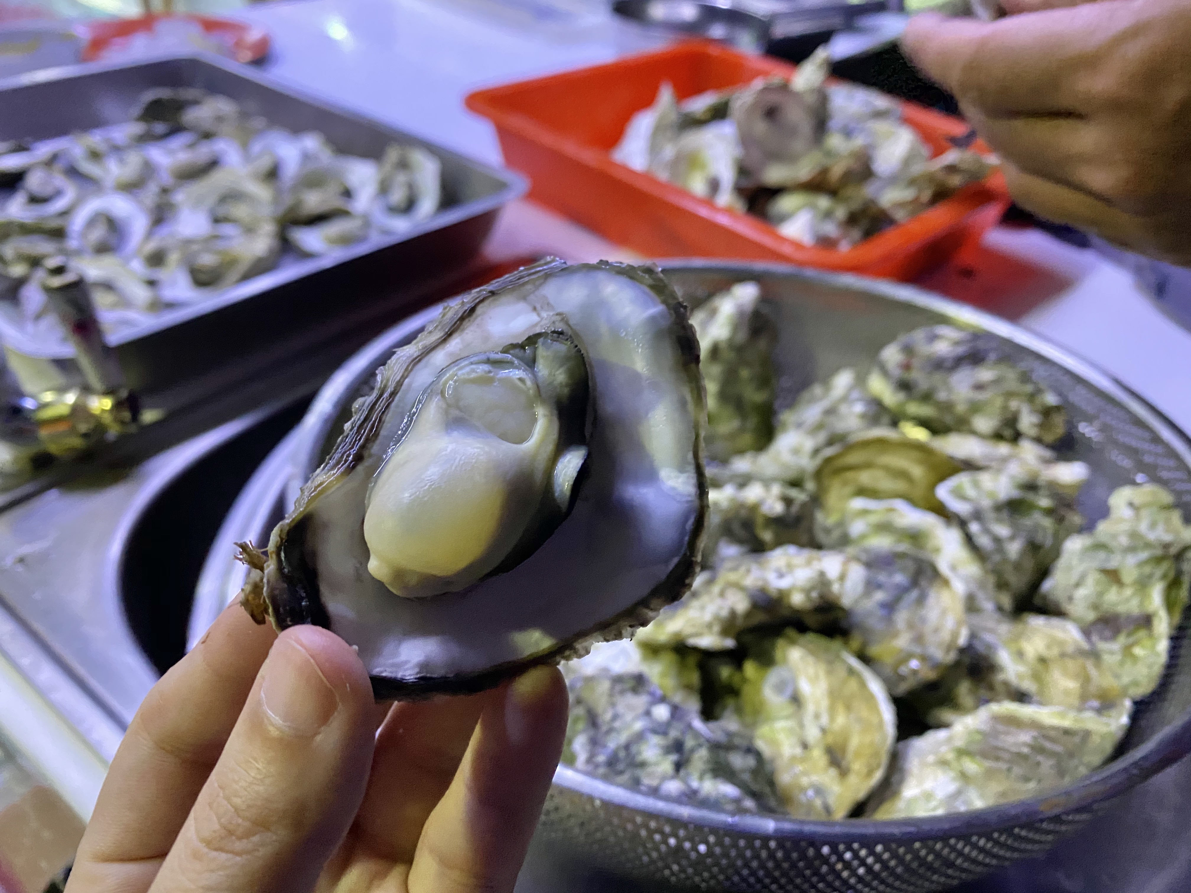 澎湖旅遊-夜釣小管